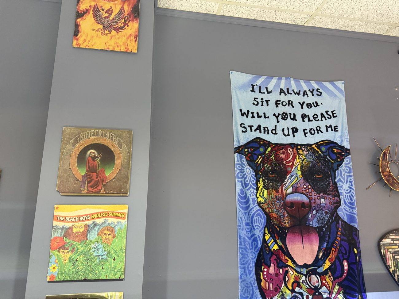 Dog tapestry and vinyl on the wall at Mr. Wigz